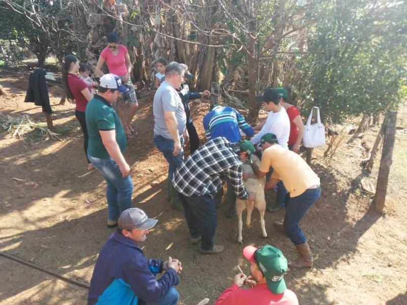 Secretaria de Agricultura de Nova Laranjeiras realizou o curso de manejo de ovinos de corte